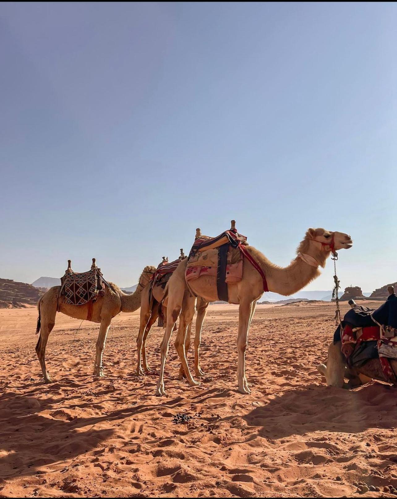 Wadi Rum Desert Camp Ad Disah Extérieur photo