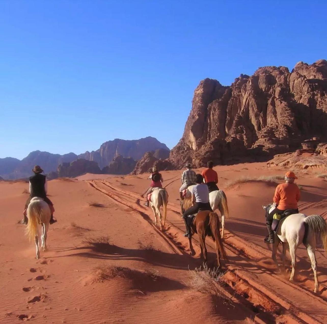 Wadi Rum Desert Camp Ad Disah Extérieur photo