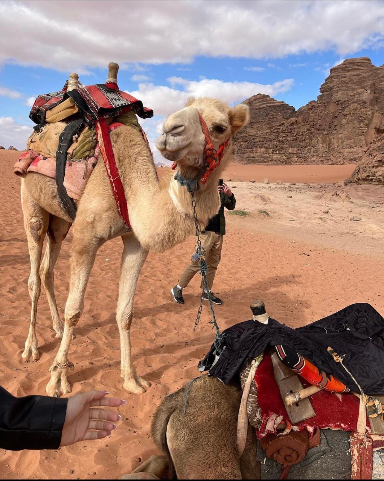 Wadi Rum Desert Camp Ad Disah Extérieur photo