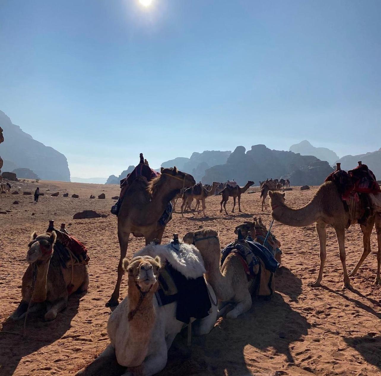 Wadi Rum Desert Camp Ad Disah Extérieur photo