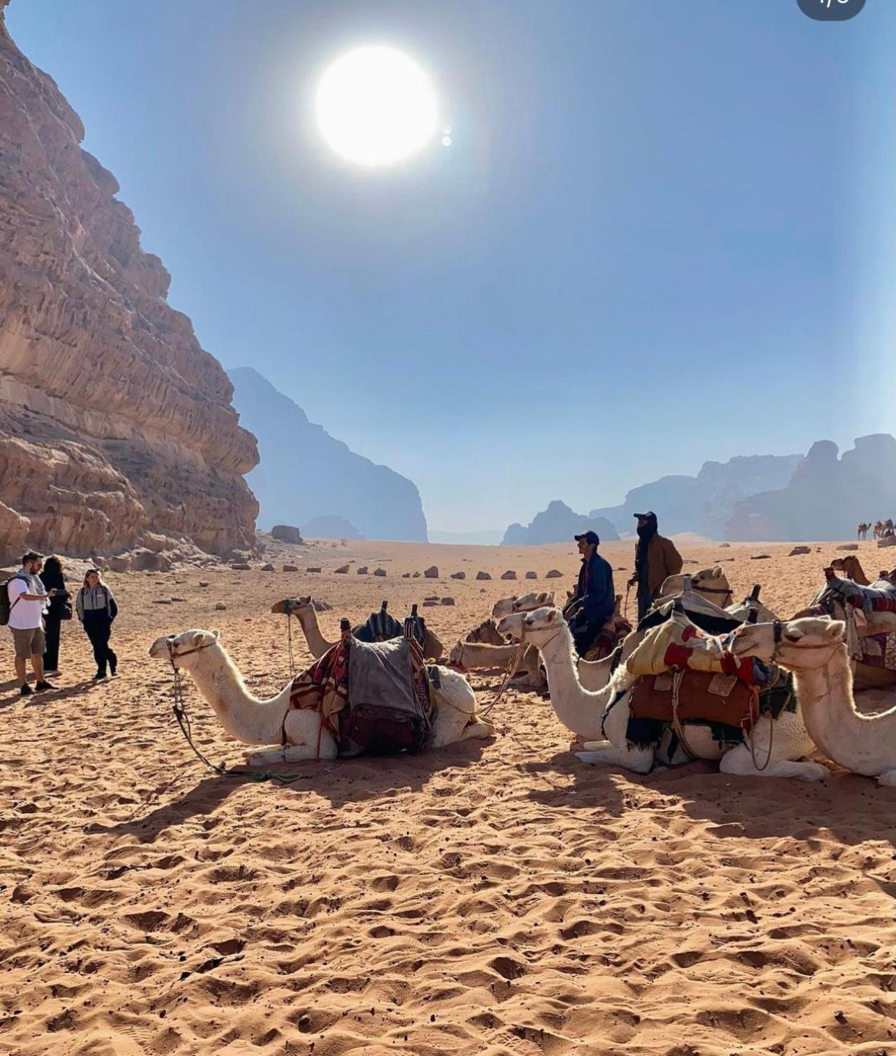 Wadi Rum Desert Camp Ad Disah Extérieur photo